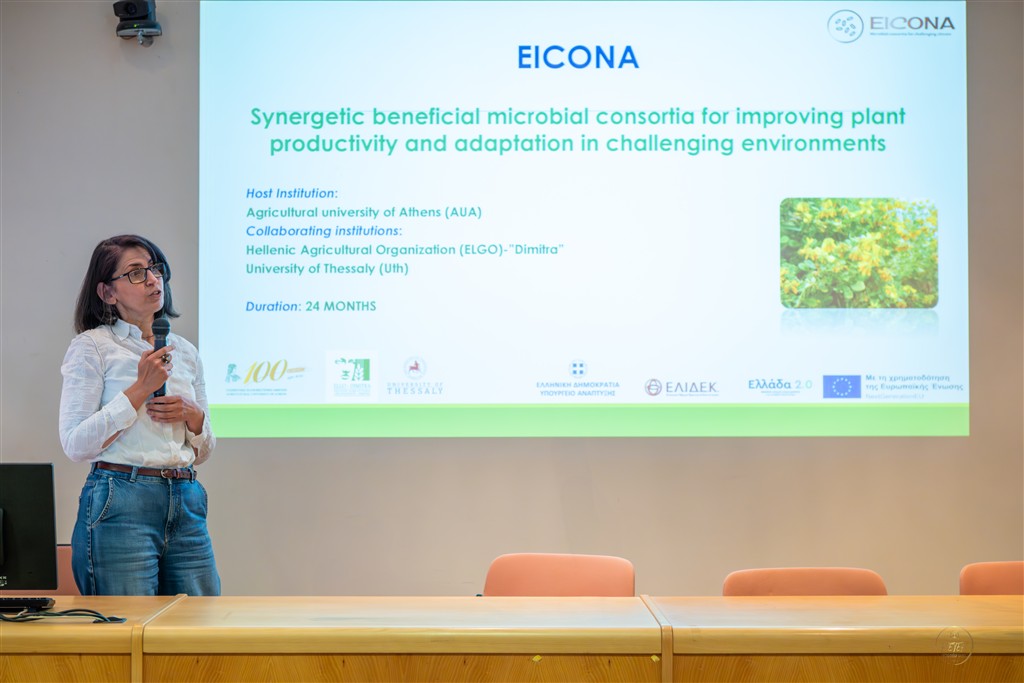 Workshop Eicona - 2