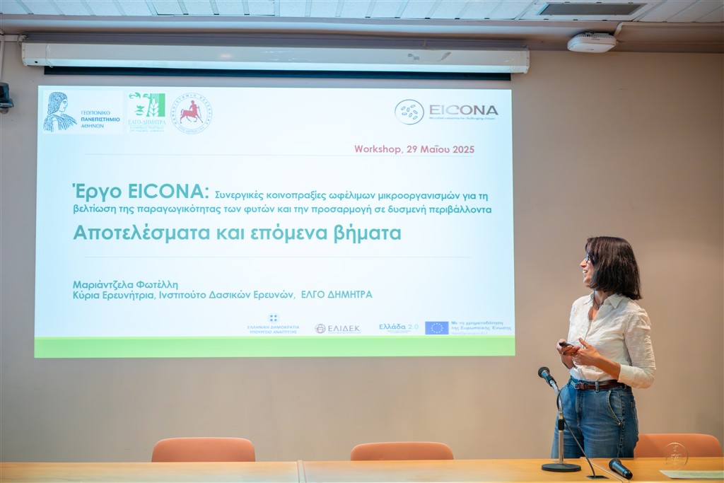 Workshop Eicona - 29