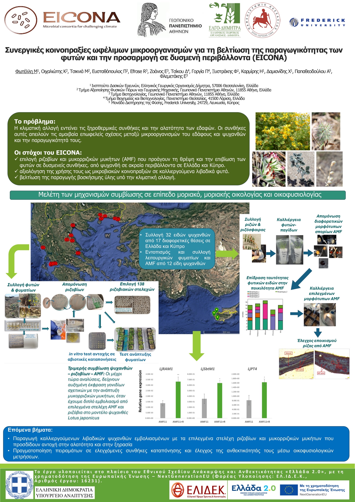 Greek Botanical Society 2024 Mariangela Fotelli